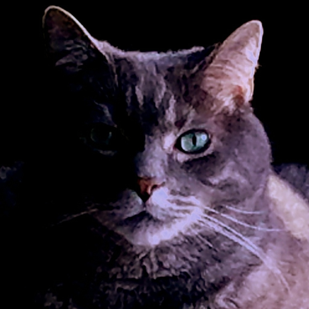 Meet your Posher, Marlys